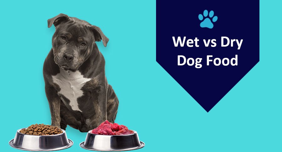 Wet vs Dry Dog Food A Depth Comparison Kwik Pets