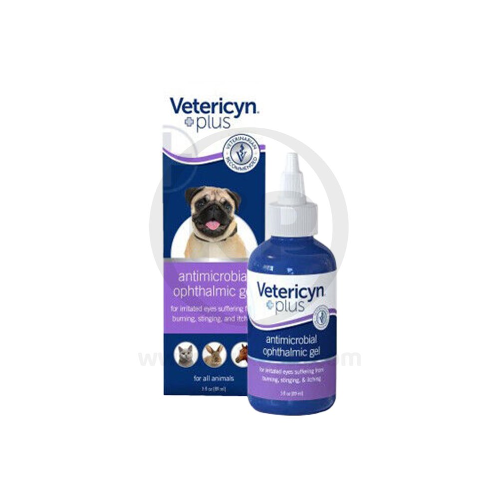 Ophthalmic gel for dogs best sale