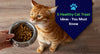 5 Healthy Cat Treat Ideas - You Must Know