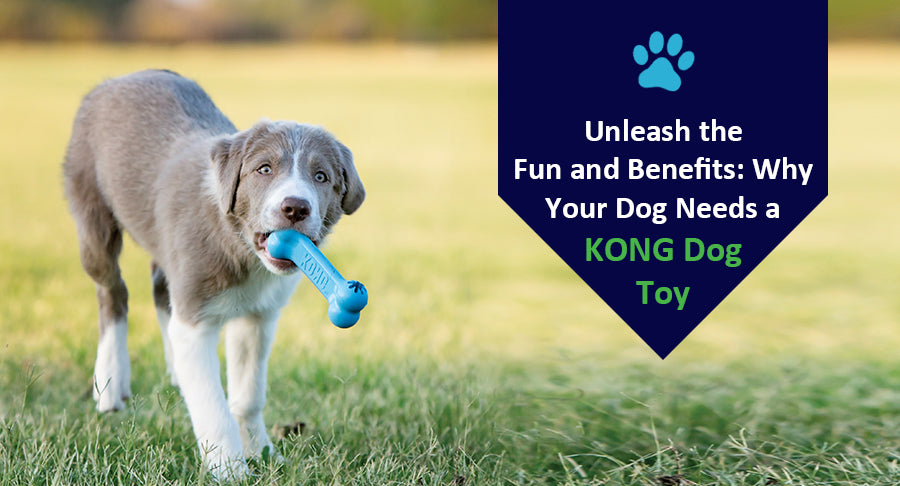 Unleash the Fun and Benefits: Why Your Dog Needs a KONG Dog Toy
