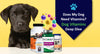 Does My Dog Need Vitamins? Dog Vitamins Deep Dive