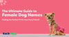 Female Dog Names: The Ultimate Guide to Finding the Perfect Fit