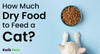 How Much Dry Food to Feed a Cat?