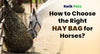 How to Choose the Right Hay Bag for Horses?