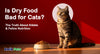 Is Dry Food Bad for Cats? The Truth About Kibble & Feline Nutrition