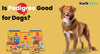 How Good Is Pedigree For Your Dog?