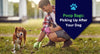 Poop Bags: Picking Up After Your Dog