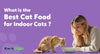 What is the Best Cat Food for Indoor Cats?