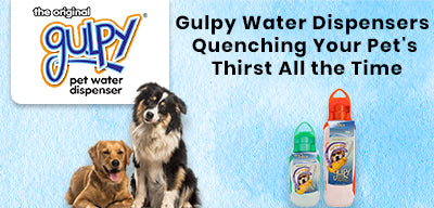 gulpy dog water bottle
