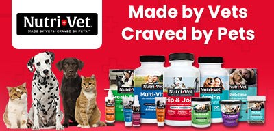 nutrivet digestive supplement for dogs and cats