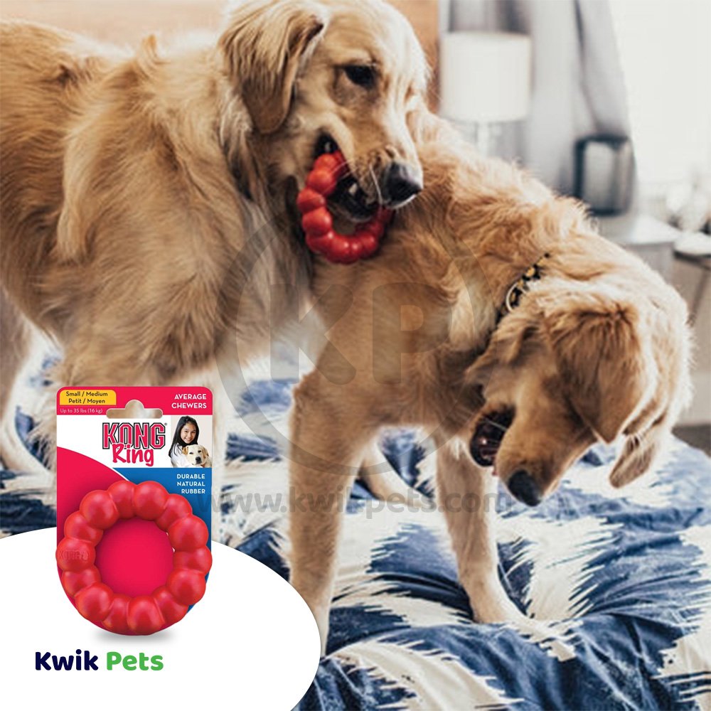 KONG Chew Ring Dog Toy, SM/MD