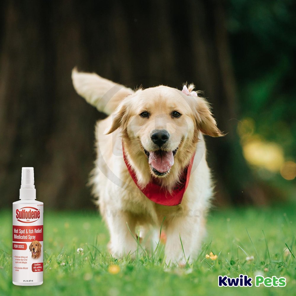 Sulfodene shops spray for dogs