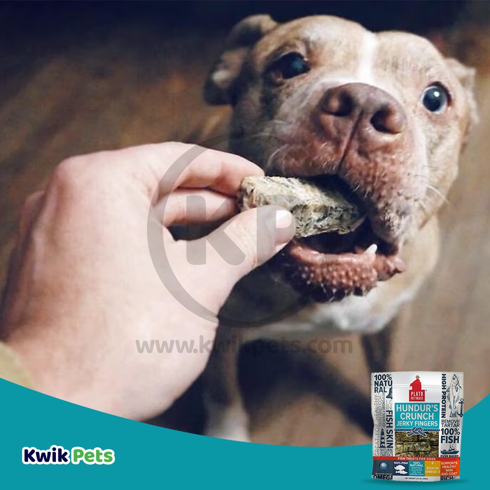Plato Hundur's Crunch Jerky Fingers Fish Dog Treats 10-oz, Plato
