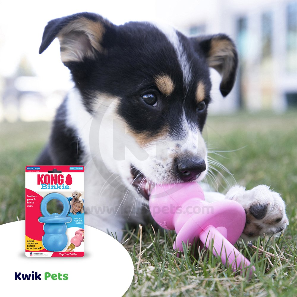 Kong Dog Toys Free Shipping Kwik Pets