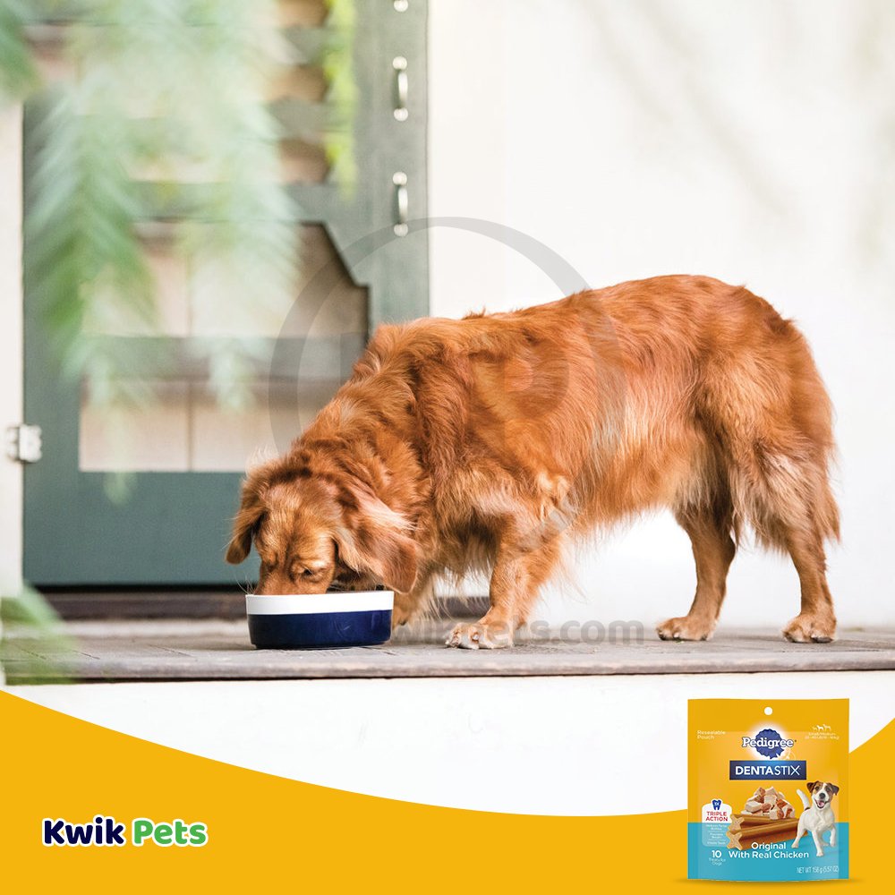 Pedigree dog food coupons best sale