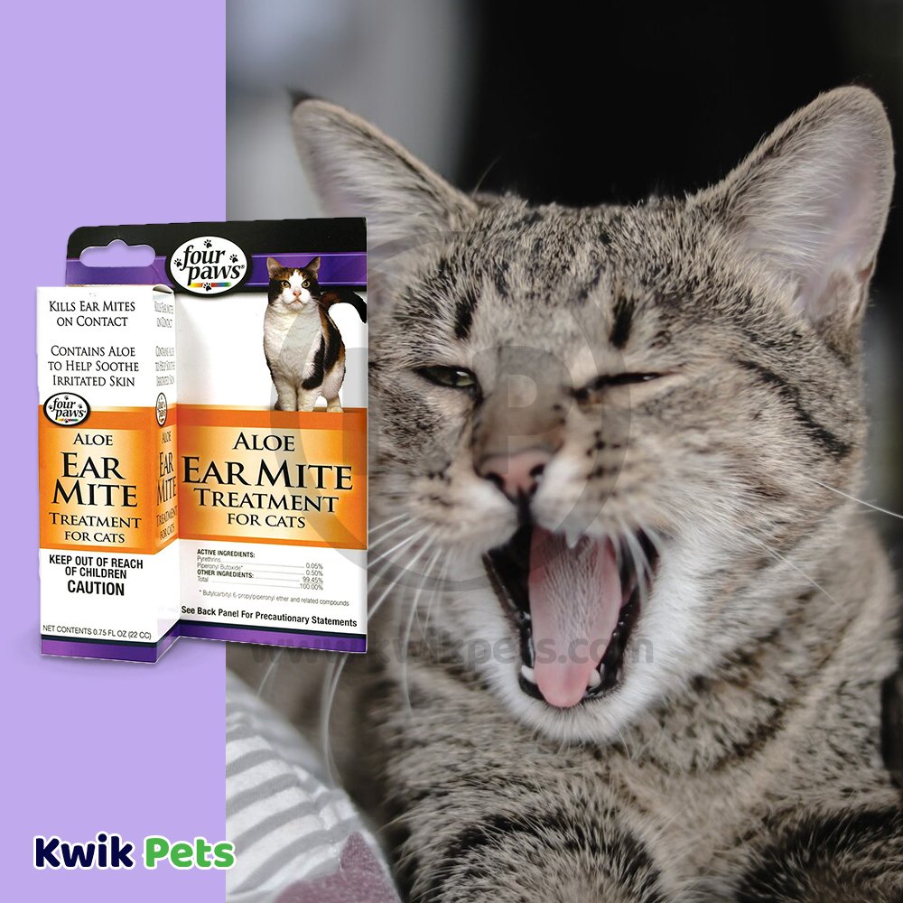 Four paws aloe ear mite treatment for cats directions hotsell